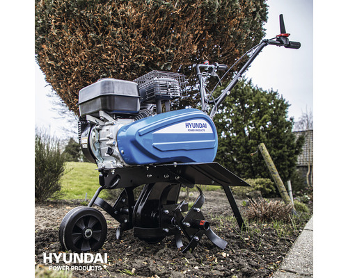 Motorfrees in de tuin
