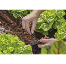 Een persoon installeert een irrigatiesysteem tussen slaplanten in de tuin.