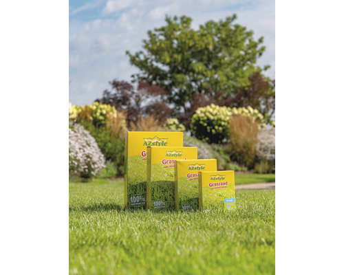 Verschillend formaat pakken graszaad van het merk AZstyle op een gazon
