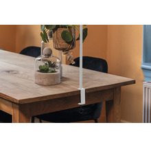 Scene met tafel, decoratie en een houder om planten op te hangen