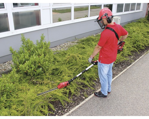 Man snoeit heg met een accuheggenschaar met telescopische steel en beschermkap