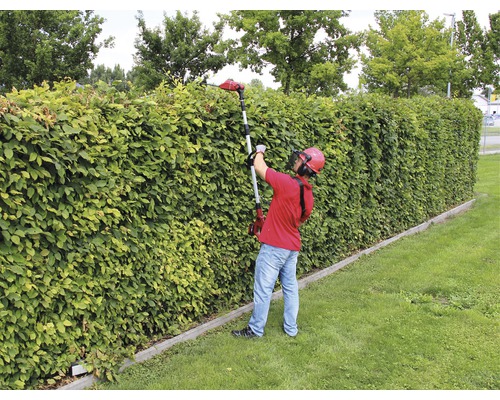 Een persoon snoeit een haag met een accu heggenschaar met telescopische steel.