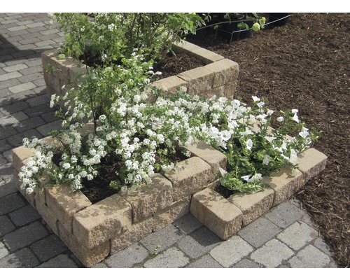 Bloembakken van steen met bloemen en planten in de tuin