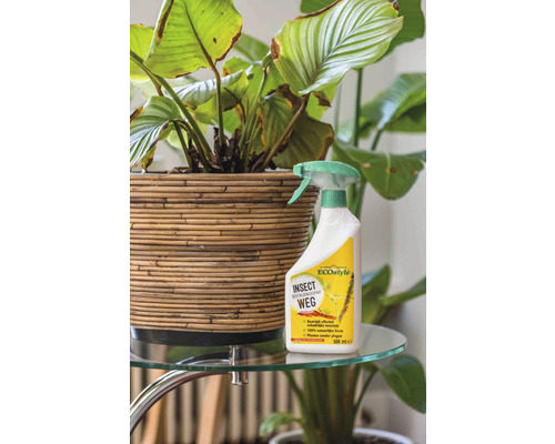 Insectenspray naast potplant op een tafel