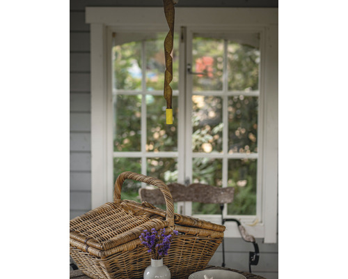 Scene met een vliegenval, een picknickmand en bloemen op een tafel voor een raam.