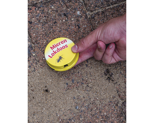Mierenlokdoos in gebruik tegen mieren