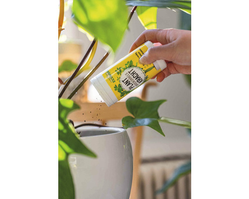 Persoon giet plantenvoeding in een pot met kamerplant.