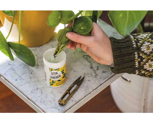 Stekpoeder wordt aangebracht op een plant.