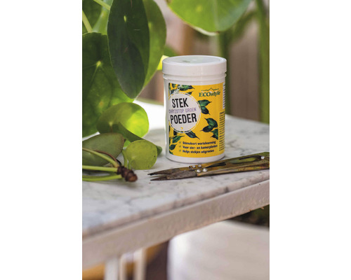 ECOstyle stekpoeder naast een schaar en planten