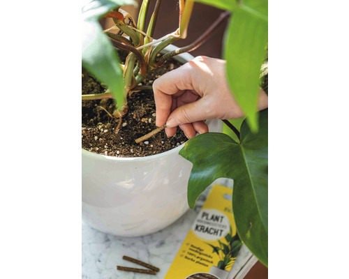 Toepassing van Plant Kraft plantenvoeding in een bloempot