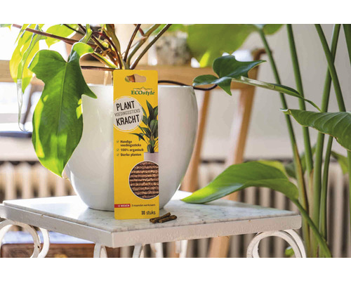 Ecostyle Logo. Verpakking plantenvoedingssticks met kamerplant op de achtergrond.