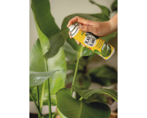 Bladspray wordt aangebracht op een kamerplant