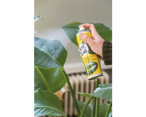 Bladspray wordt op plantenbladeren gespoten