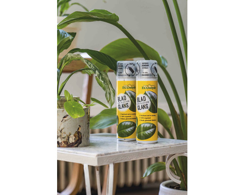 Twee spuitbussen Eco Style bladglans op een tafel naast kamerplanten