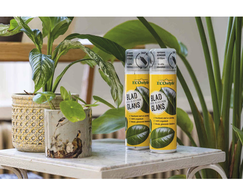 Twee blikken Eco Style bladglans naast kamerplanten