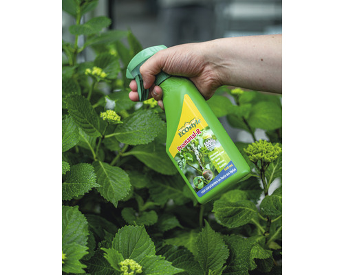 ECOstyle Promanal-R gewasbeschermingsmiddel spuitfles in gebruik op plant