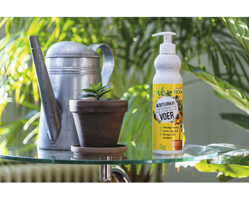 Mediterrane plantenvoeding met gieter en potplant