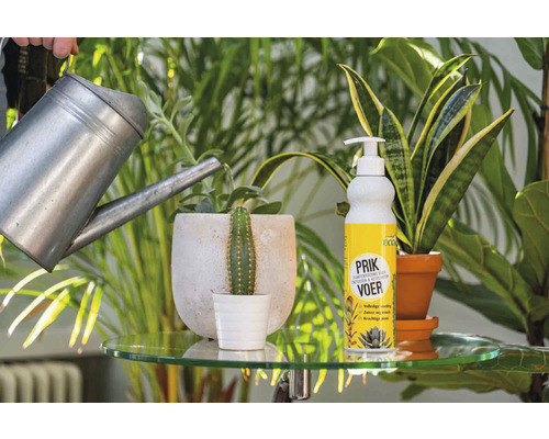 Het water geven van een cactusplant met een gieter naast een plantenverzorgingsproduct