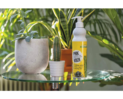 Eco Style Prik plantenvoeding voor cactussen en vetplanten