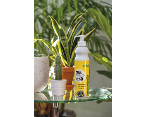 EcoStyle cactus- en vetplantenvoeding met doseerpomp