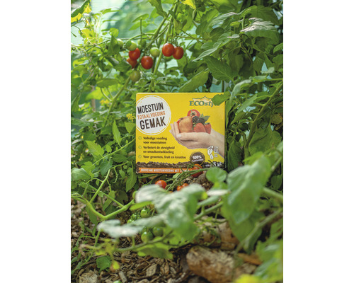 EcoStyle Moestuin Totaalvoeding in de moestuin met tomatenplant