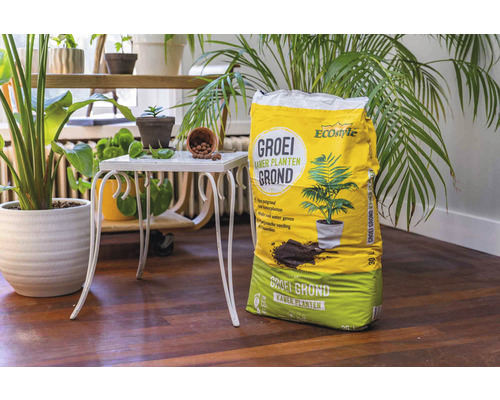 Zak kamerplanten aarde naast planten op een houten vloer