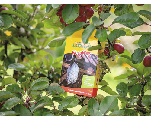 Eco style wespenwerend middel in de appelboom