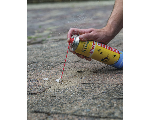 Gebruik van mierenspray buitenshuis op bestrating