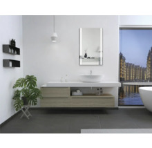 Moderne badkamer met wastafel, spiegel met verlichting, bad en plant
