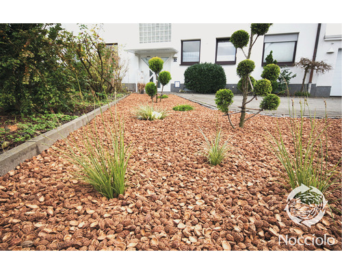 Een voortuin bedekt met hazelnootschalenmulch met siergrassen en gesnoeide struiken