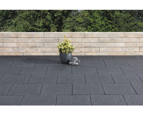 Terras met bestrating, plant in pot en muur