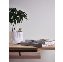 Decoratieve kamerplant op een houten tafel met boeken en lade