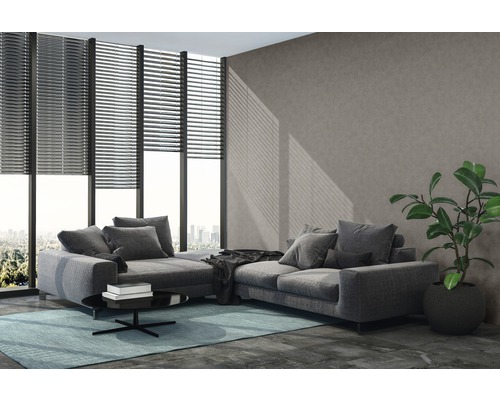 Woonkamer met grijze hoekbank, jaloezieën en kamerplant