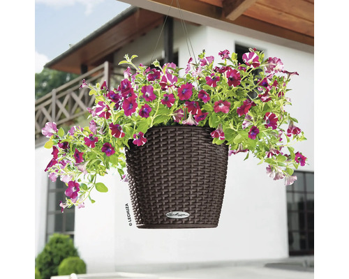 Hangpot met paarse petunia''s in een bruine kunststof bak