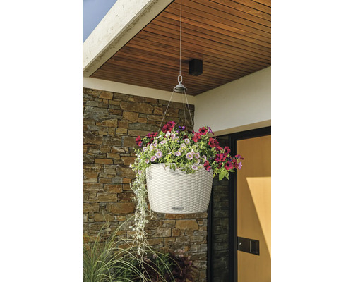 Hangende bloempot met kleurrijke bloemen voor een huiswand