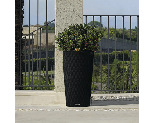 Hoge, zwarte plantenbak voor buiten met plant