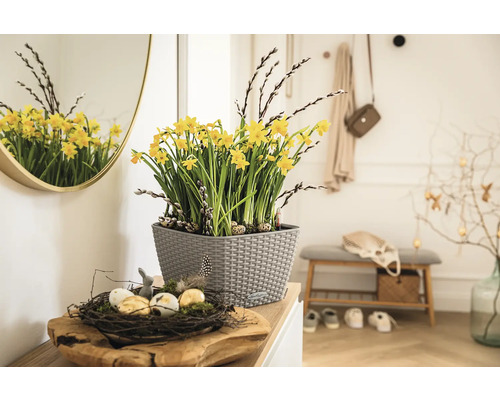 Decoratief interieur met narcissen in een pot, een nest met paaseieren en een spiegel in de hal