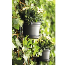 ELHO Green Basics Balkon pothouder all-in-1 Kunststof zwart Ø 26 cm H 19 cm