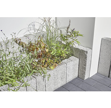 Verhoogde tuinbak gemaakt van betonstenen met beplanting