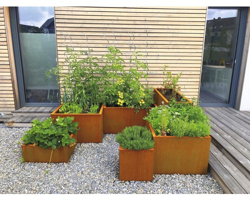 Meerdere roestkleurige plantenbakken van verschillende grootte met planten in de tuin.