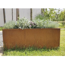 PALATINO Pot Lotte Cortenstaal roest 100x40x50 cm-thumb-2
