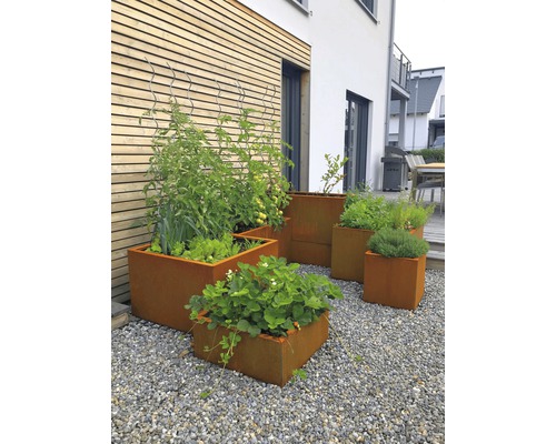 Tuinaanzicht met stalen plantenbakken met verschillende planten