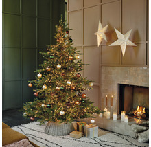 Versierde kerstboom met lichtjes en ballen in de woonkamer naast een open haard.