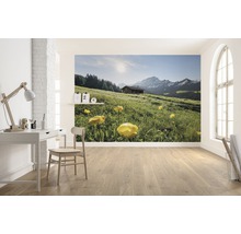Fotobehang met berglandschap en alpenhut in een heldere kamer