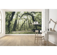 Woonkamer met fotobehang met bosmotief, bureau en stoel