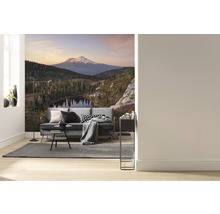 Woonkamer met foto van berglandschap op de muur, bank, vloerkleed en staande lamp