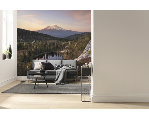 Woonkamer met foto van berglandschap op de muur, bank, vloerkleed en staande lamp