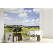 Fotobehang met landschapmotief in een lichte eetkamer
