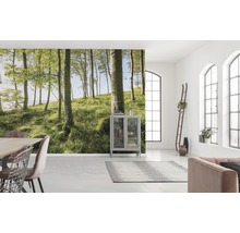 Lichte kamer met fotobehang van een bos, meubels en ramen