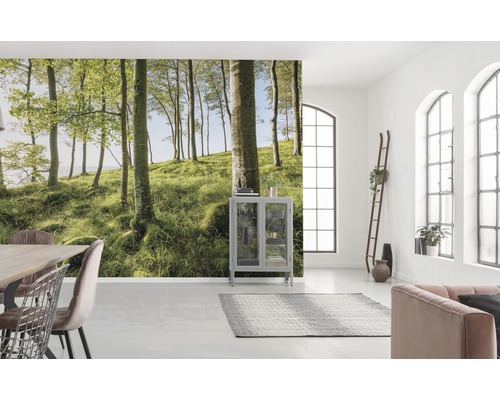 Lichte kamer met fotobehang van een bos, meubels en ramen